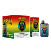 Barra de elfos original 5500 bocanadas de fruta sabor a cigarrillo desechable Vape Pen CE/FDA Factory Precio OEM Diseño de moda 2022 R&M Rasta