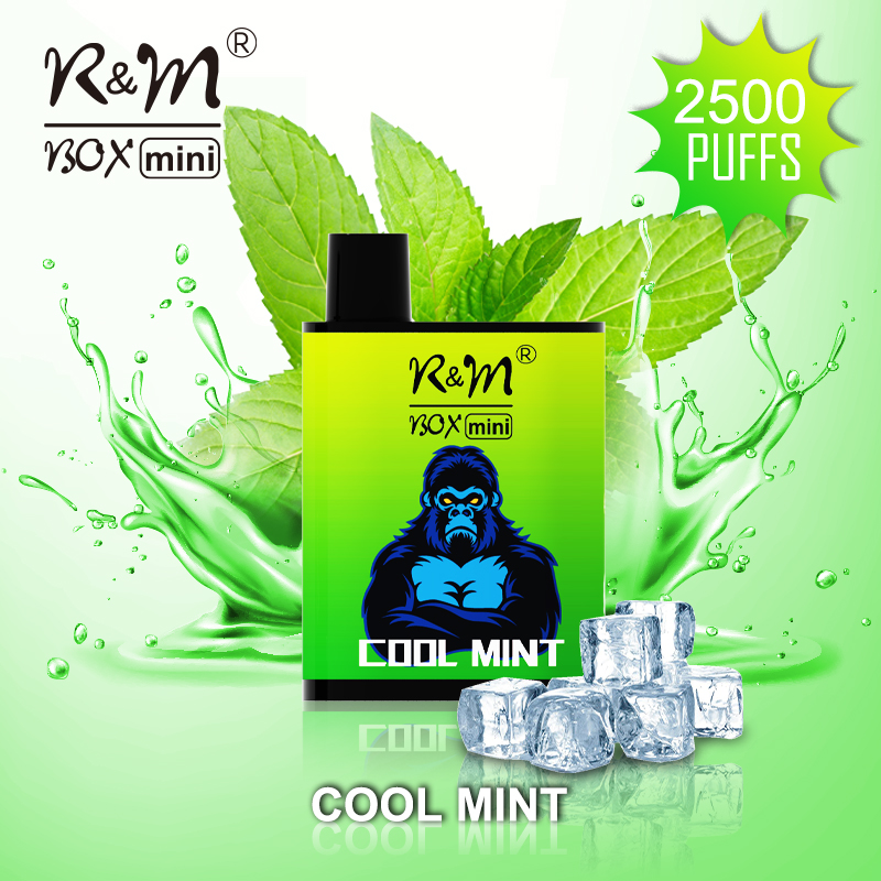 R&M Box Mini Big Bang Fruit | Mayorista de vape desechable | Distribuidor