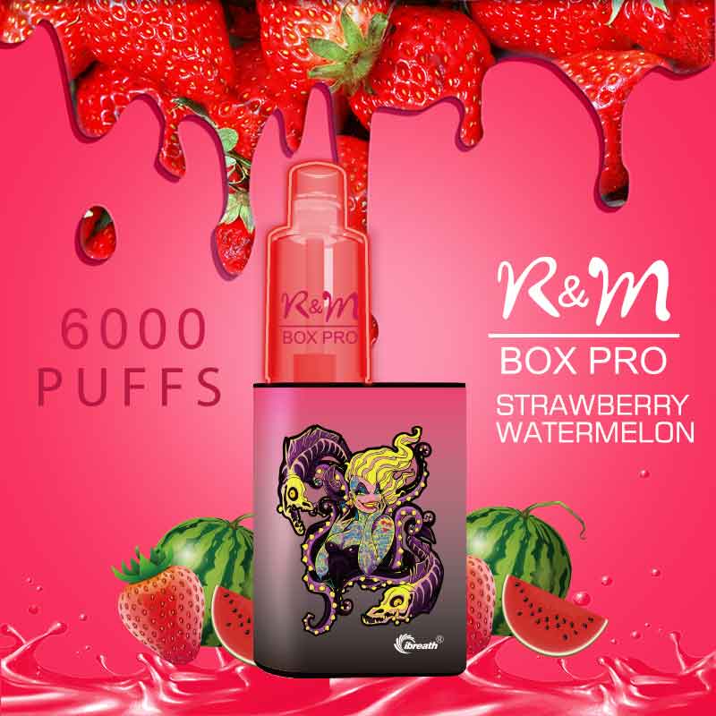 R&M Box Pro 6000 Puffs 20mg Vape desechable | Francia Vape